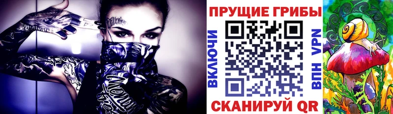 где купить наркоту  Староминская  Псилоцибиновые грибы Psilocybe 