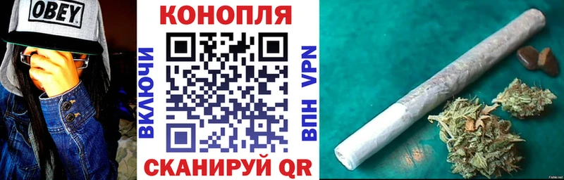 Конопля гибрид  omg зеркало  Староминская 